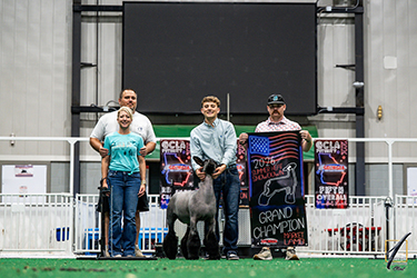 Grand Champion Market Lamb
Boss Malcom
