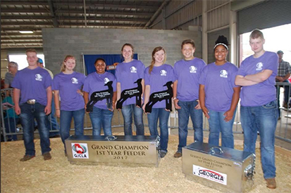 Junior Board