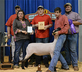 Winners