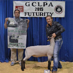 Winners
